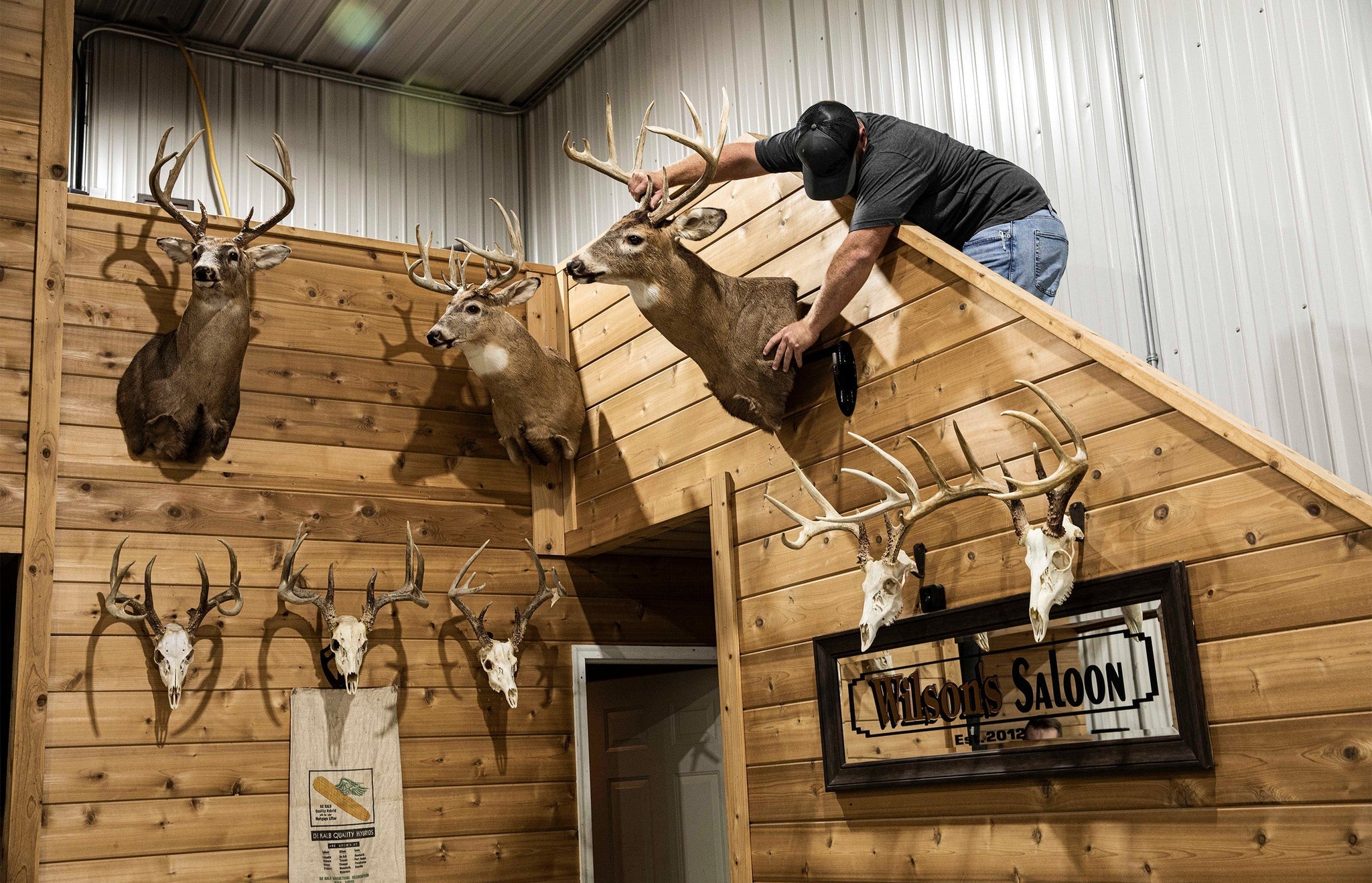 How To Design Your Trophy Room | Full Range Hanging System