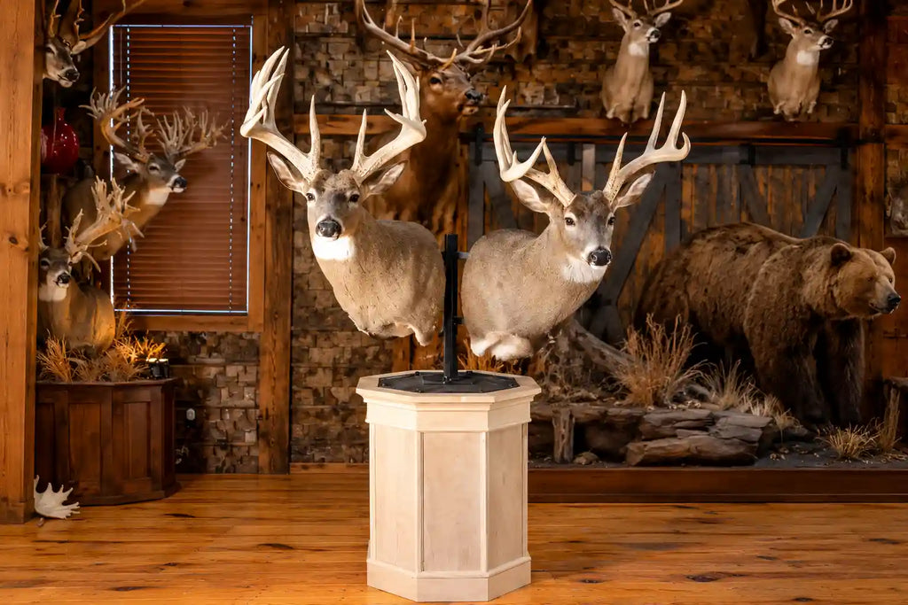 How Much Weight Can a Deer Mount Wall Bracket Hold?