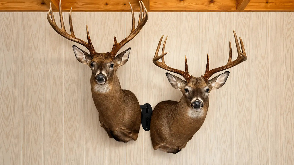 How to Choose Between a Single, Corner, and Double Mount System