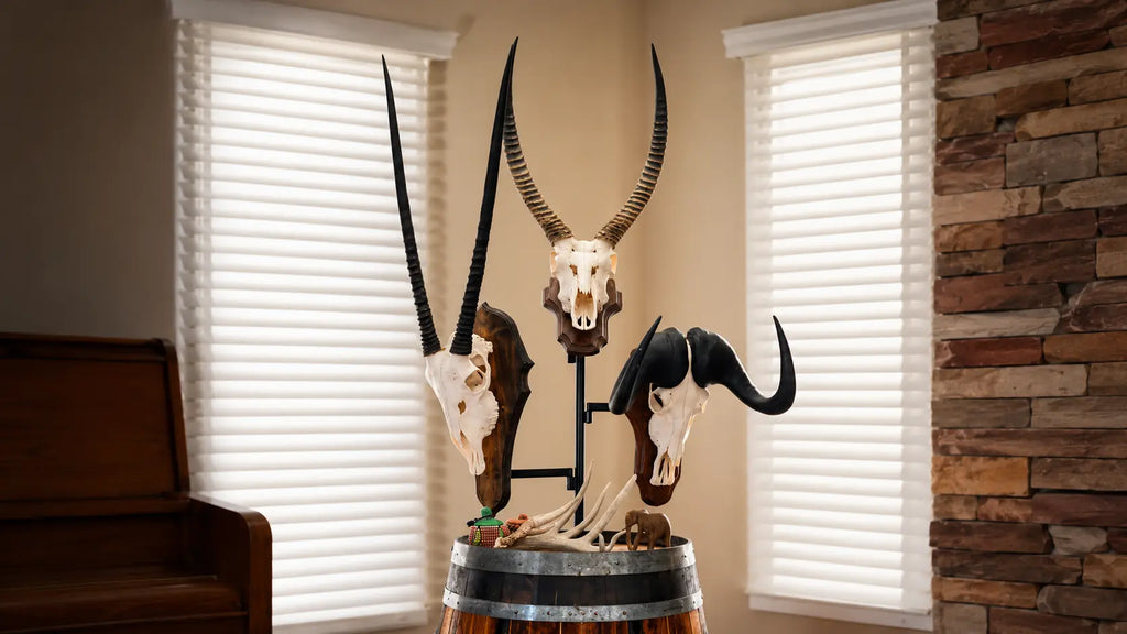Skull Mount vs. Traditional Mount: Which Trophy Display Is Right for You?