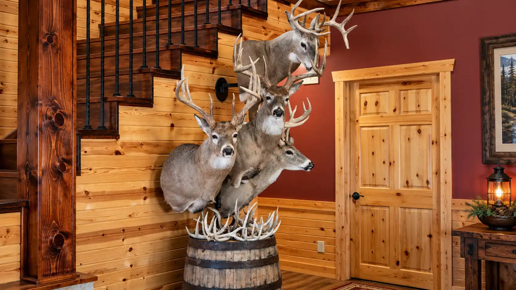 The Most Common Trophy Mounting Mistakes and How to Avoid Them