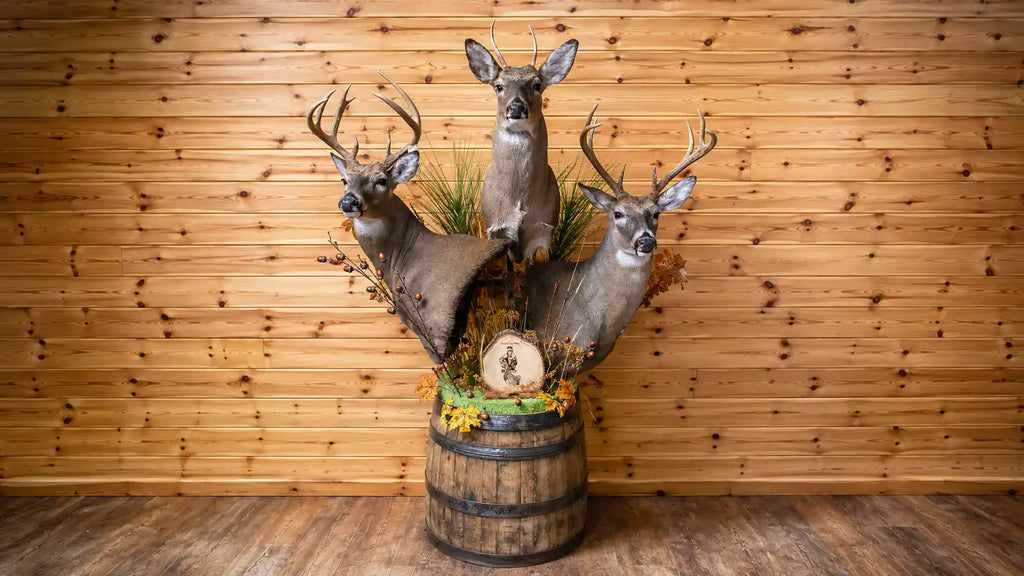 The Ultimate Guide to Displaying Multiple Trophies Without Crowding Your Wall